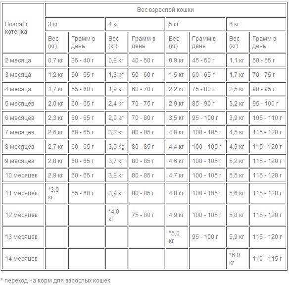 Чем кормить британскую кошку