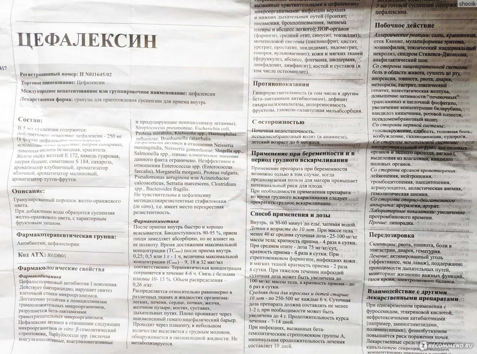 Цефтриаксон для кошек: как применять по инструкции в ветеринарии, дозировка внутримышечно, как разводить с новокаином, можно для котят, куда колоть