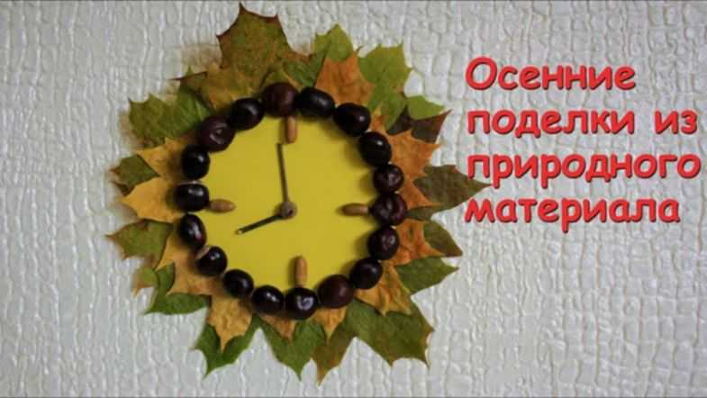 Как сделать домик для морской свинки — выбор материала