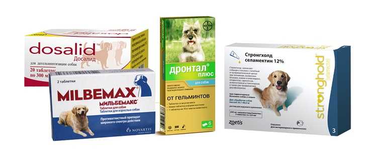 Какие таблетки можно дать собаке во время течки