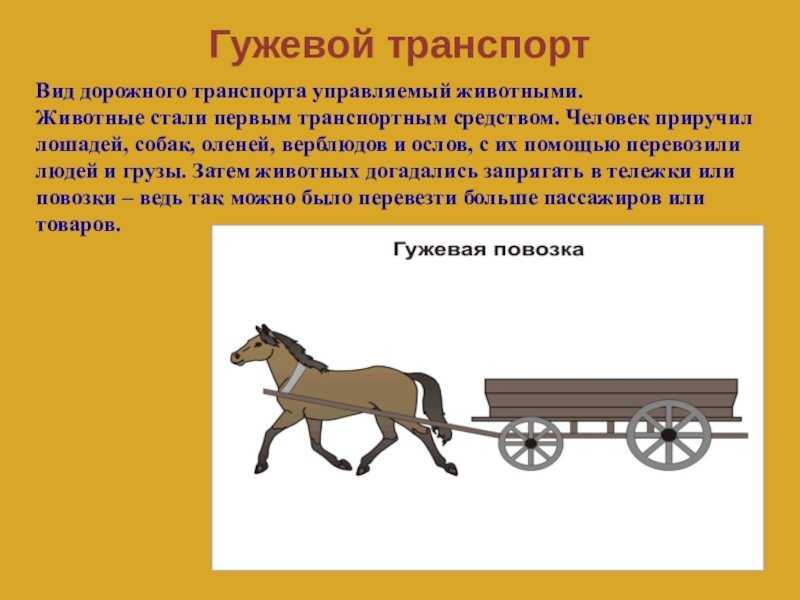 Почему электричку называют «собакой»? распространённые версии. есть вопрос: «почему электрички называют собаками? почему электричку называют "собакой"