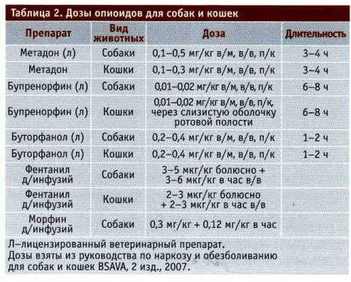 Витам для собак: инструкция по применению витаминно-минерального комплекса
