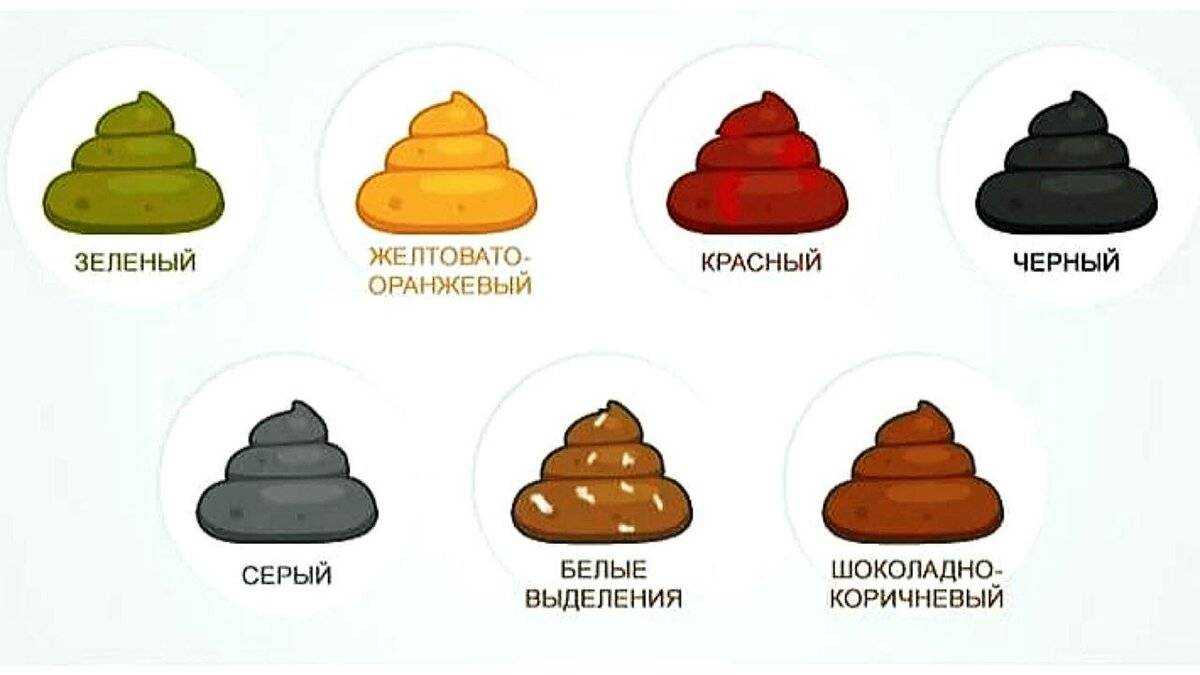 У собаки оранжевый стул. белый кал у собаки: причины и что делать