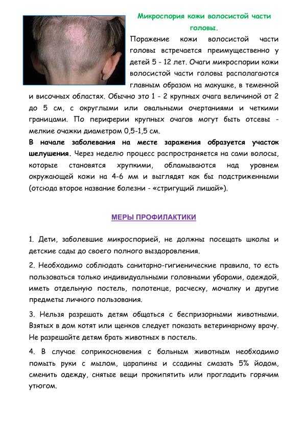 Лишай у собак: виды, первые признаки и методы лечения - animallist.ru