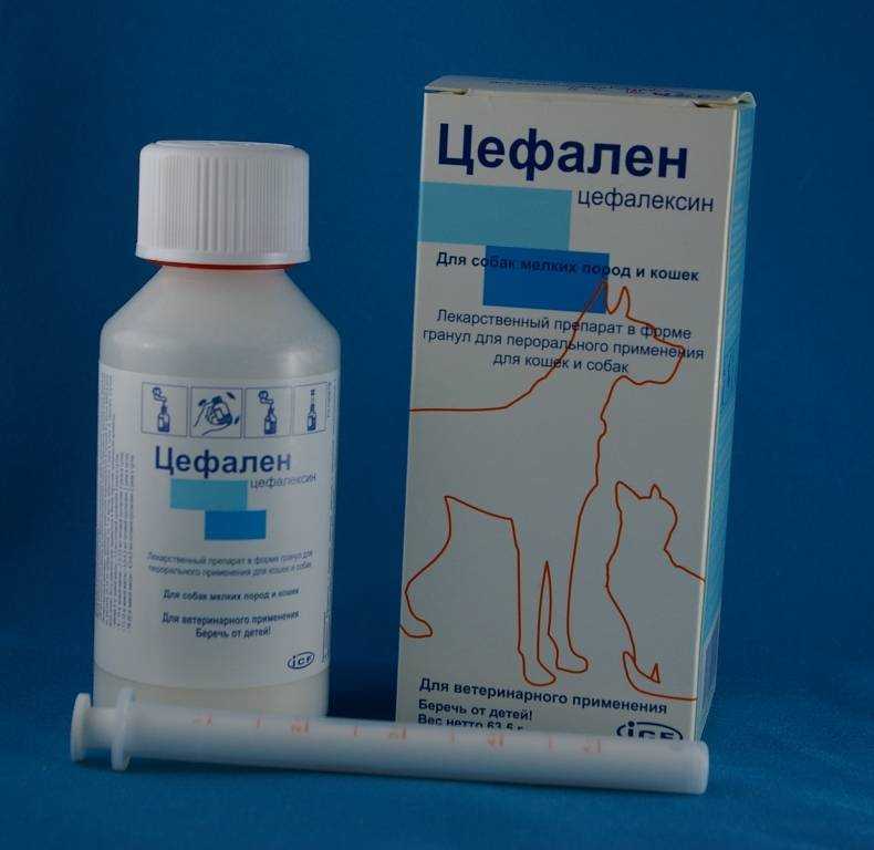 Цефазолин для животных | инструкция по применению цефазолина в ветеринарии