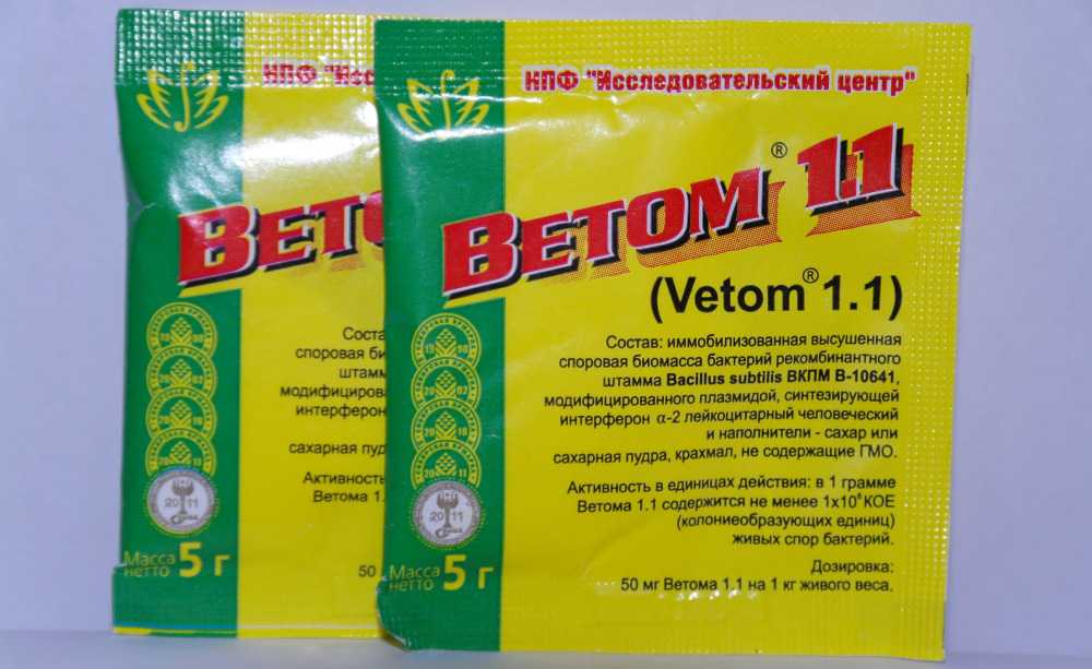 Витам для собак: инструкция по применению
