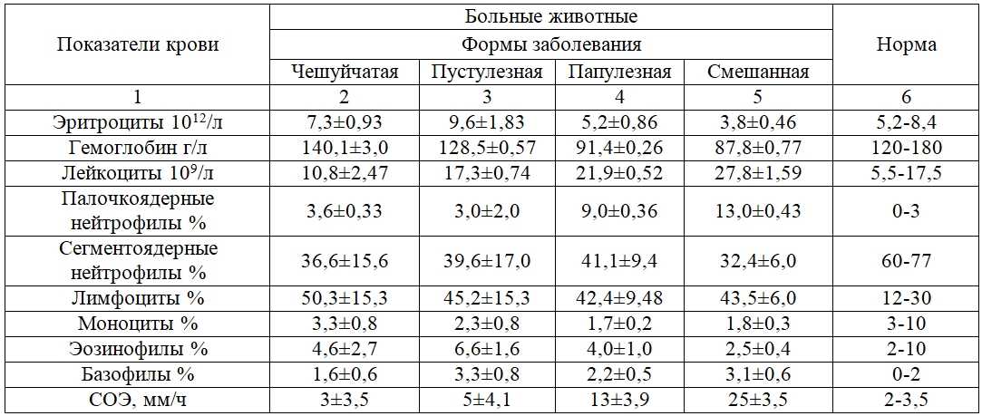 Рахит у взрослых собак и щенков: признаки, симптомы, методы лечения