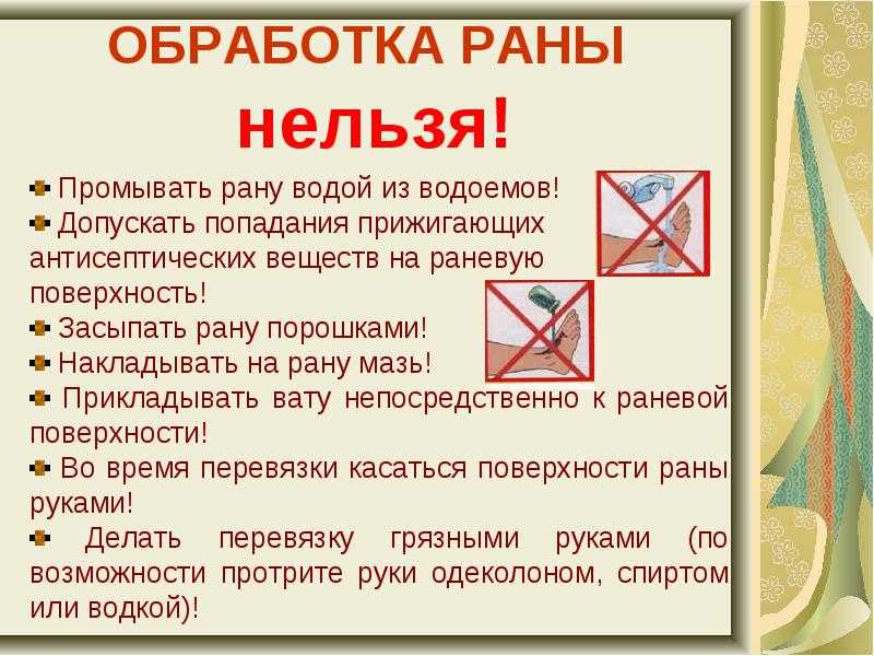 Мокнущая экзема у собак: лечение, причины появления мокрой раны, как лечить на голове, бедре, лапе и шее, чем можно подсушить дома