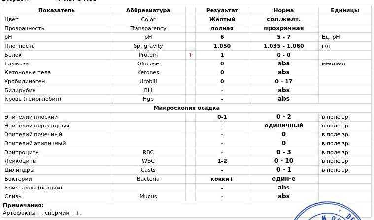 Трипельфосфаты у кошки в моче: как определить наличие