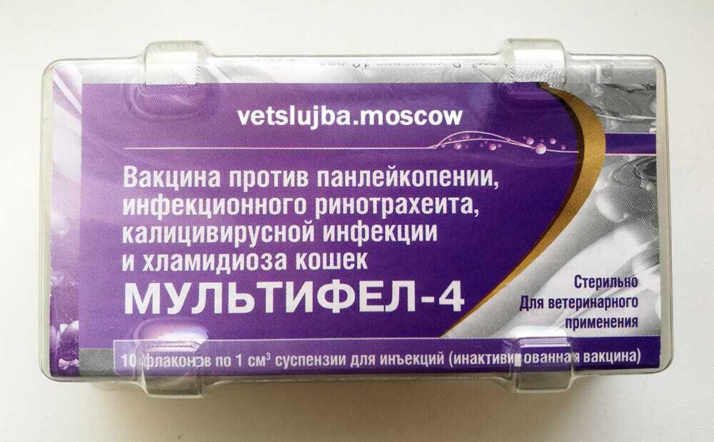 Инструкция по применению вакцины «мультифел-4» для котят и кошек: от чего защищает прививка, куда колоть препарат?