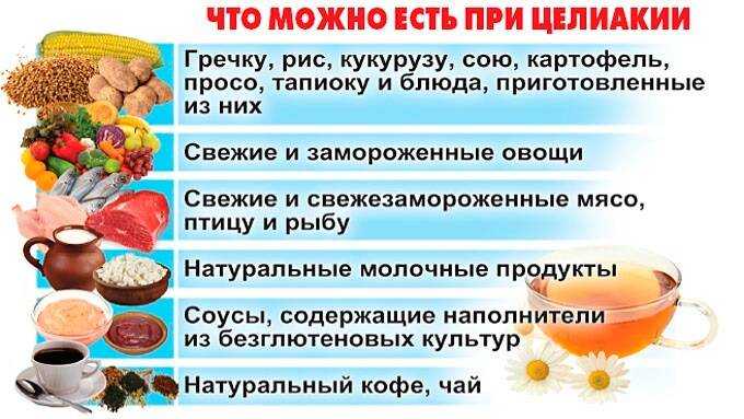 Понос у собаки: причины, виды, лечение