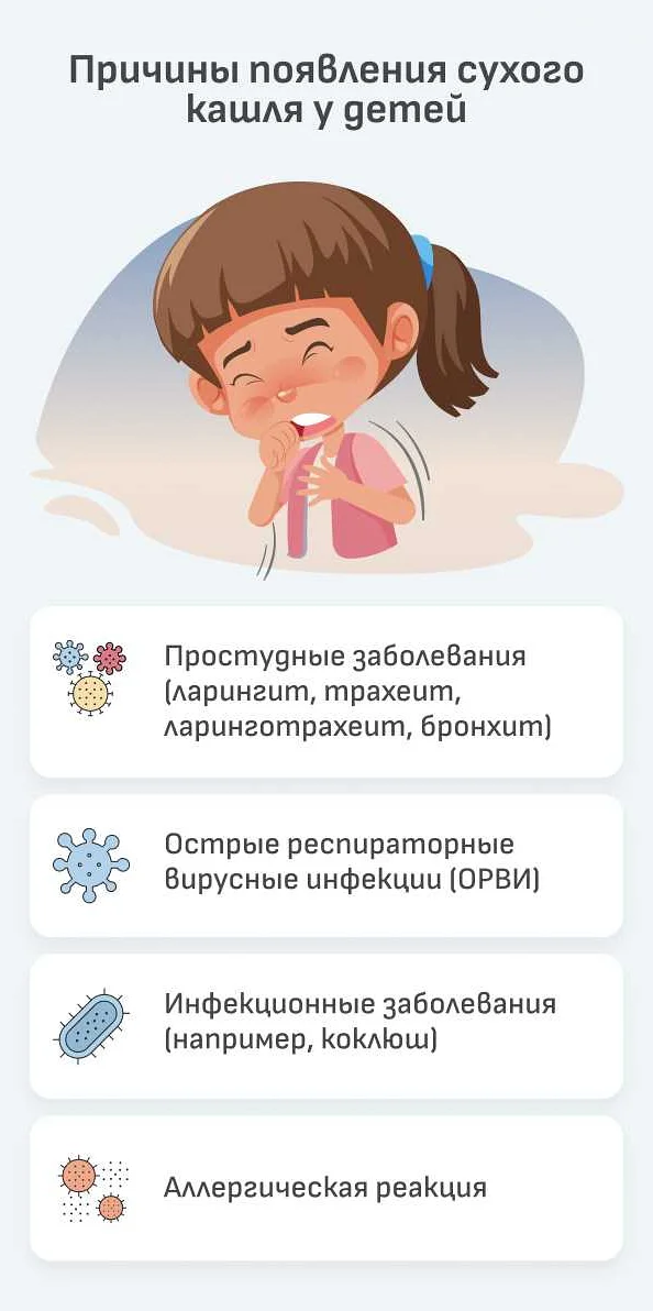 Собака храпит: признак заболевания или нормальное явление?