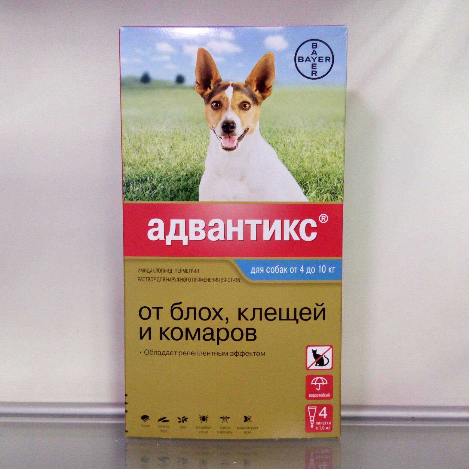 «адвантикс» для собак: как применять капли?