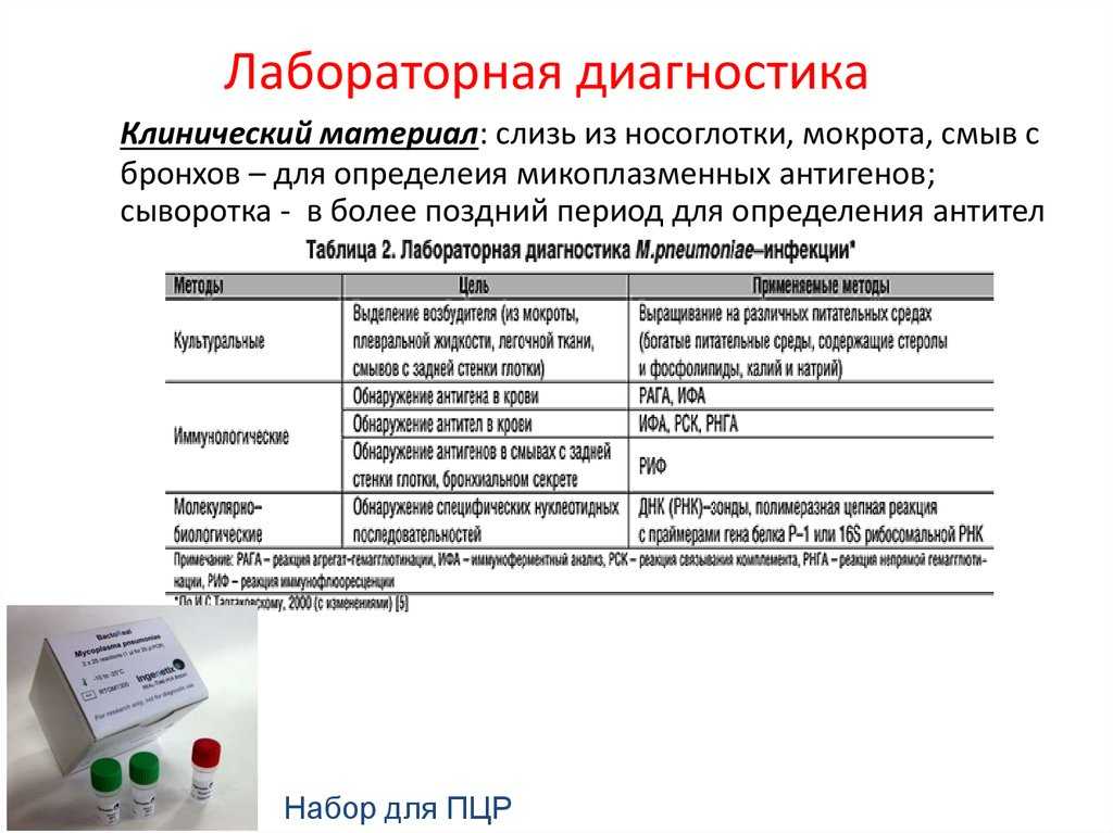 Ptichka.net — домашние питомцы
