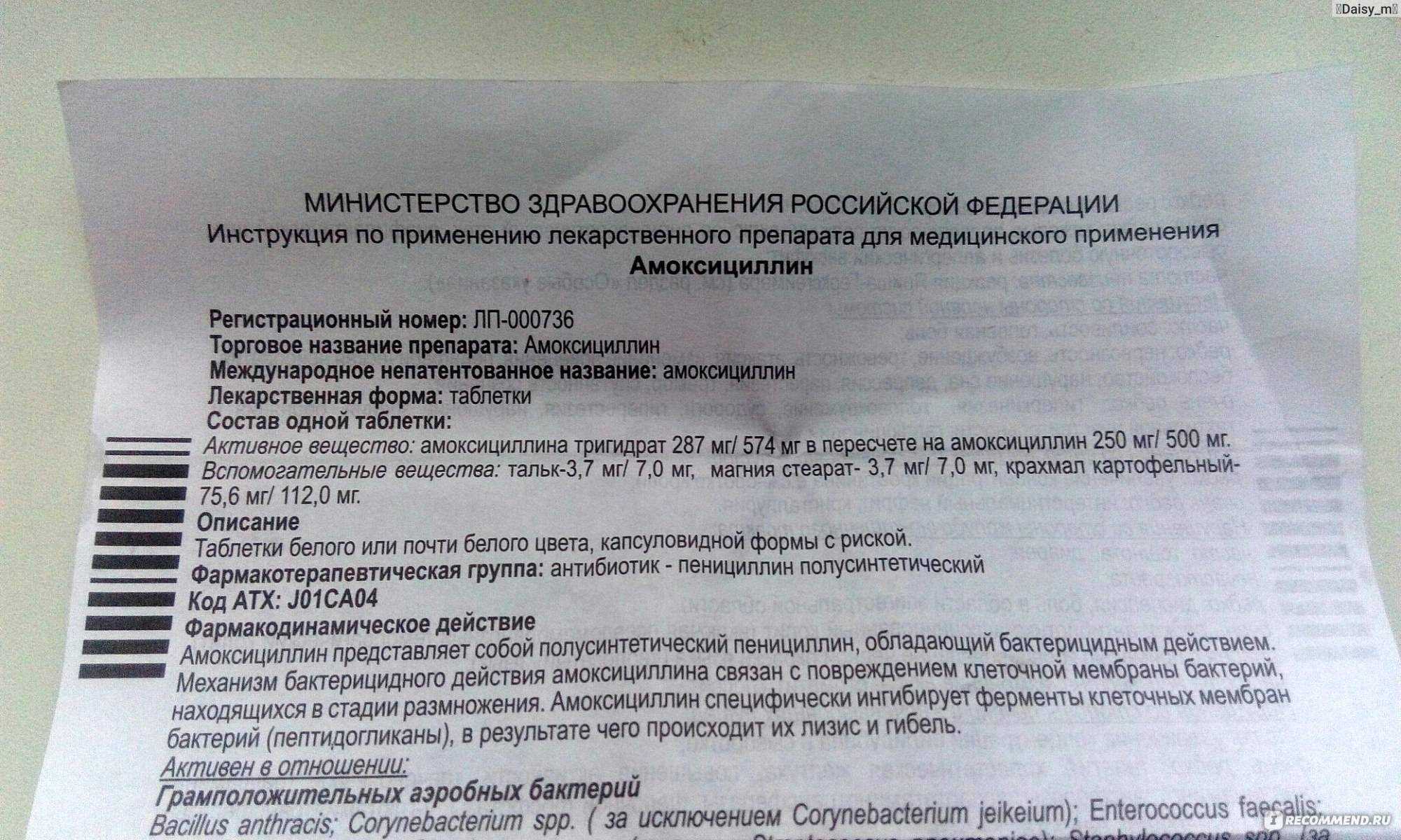 Амоксициллин для собак: инструкция по применению, дозировка, ограничения и побочные явления, отзывы