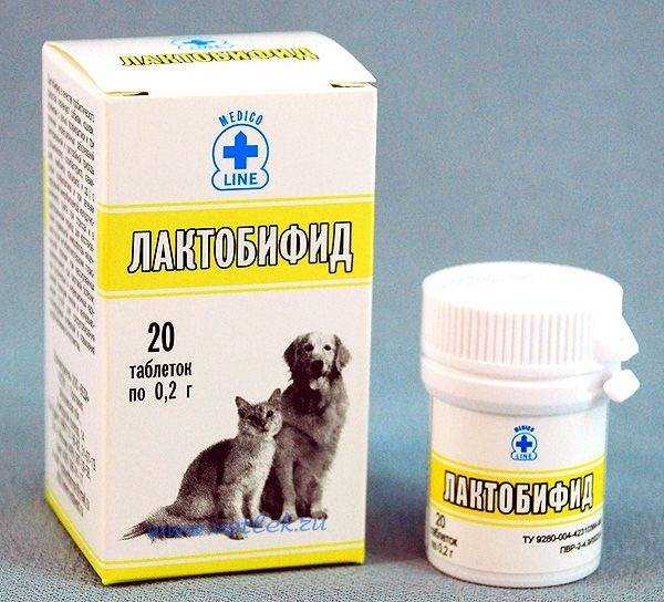 Пробиотики для собак: список самых популярных марок