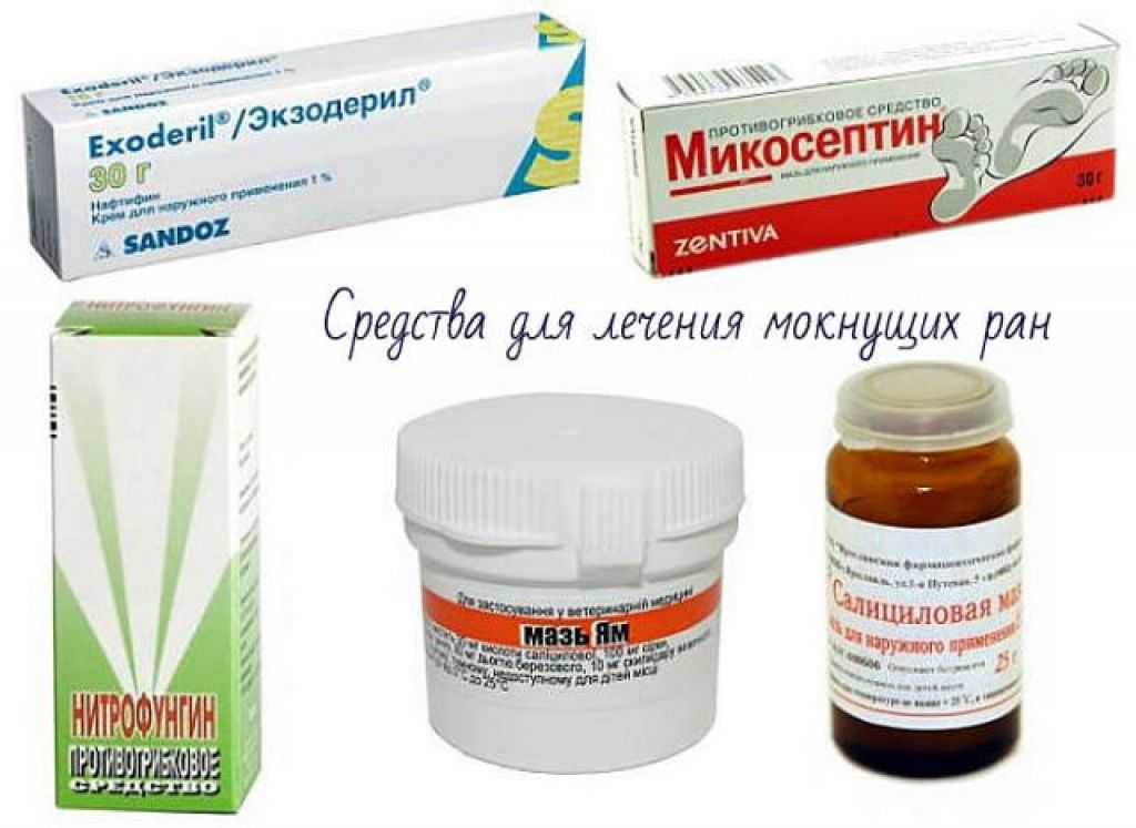 Рекомендуемые мази от лишая для кошек – что выбрать для лечения? - твой питомец