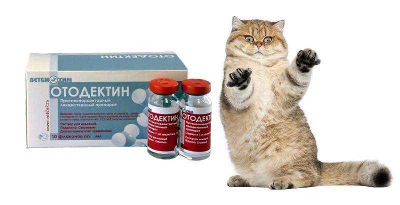 Инструкция по применению отодектина для кошек
