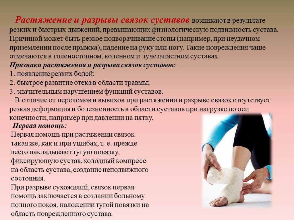 К растяжению лапы у собаки отнеситесь серьезно