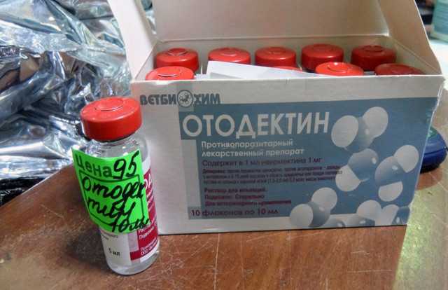 Что нужно знать о препарате отодектин для кошек?