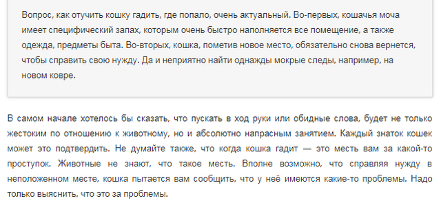 4 причины, почему кошка начала гадить где попало: что делать и как отучить