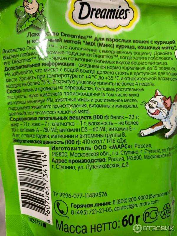 Какие овощи давать кошке и в каком виде?