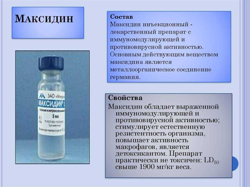 Максидин для кошек - 130 фото действия и применения препарата