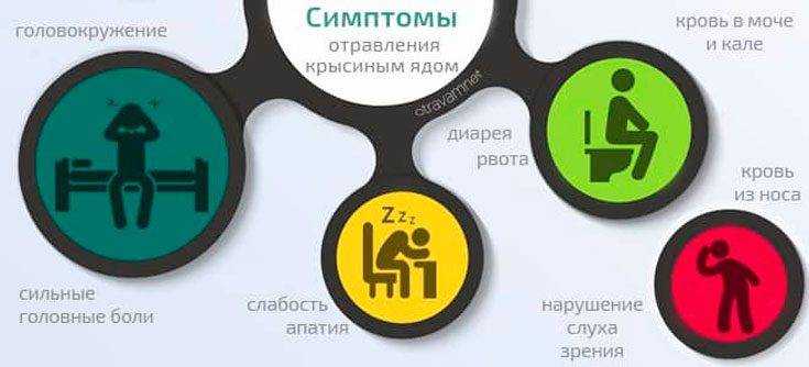 Что делать если кошка отравилась крысиным ядом