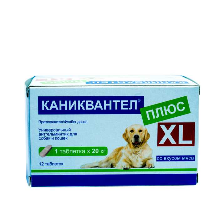Каниквантел для собак: инструкция по применению, состав лекарства и побочные эффекты