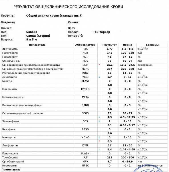 Повышены лимфоциты у собаки что значит. нормальные гематологические показатели у собак(по schalm o.w., tain n.c., carroll e.j., andersen a.с., lawler d.f., с изменениями)