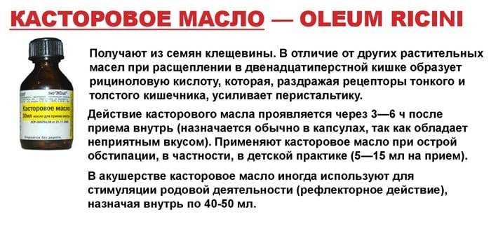 Запор у кошки