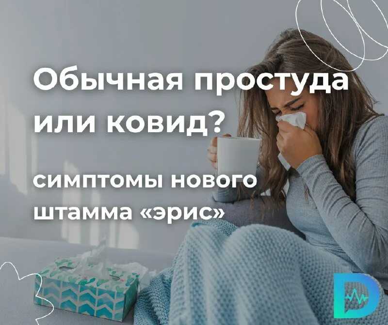 Может ли кошка заразиться гриппом от человека
