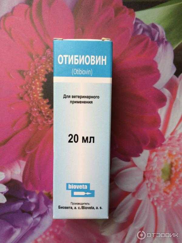 Ушные капли для кошек отибиовин: инструкция по применению с показаниями, аналогами и отзывами. можно ли лечить им котят?