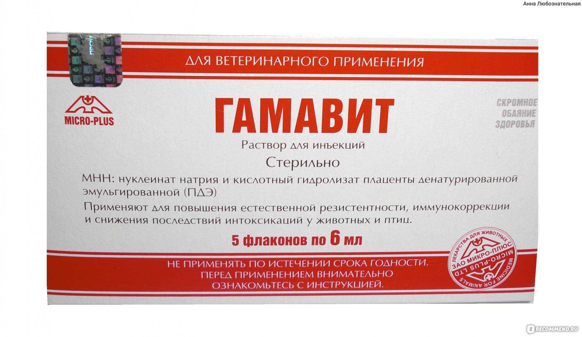 Гамавит кошке - как и куда колоть, дозировка, инструкция