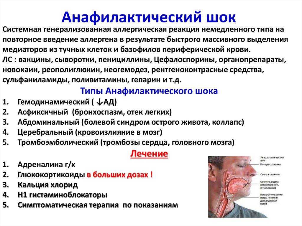 Если у собаки парализовало задние лапы, что делать? возможно ли лечение?