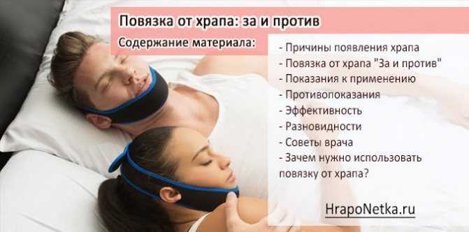 Почему кот храпит во сне и сопит, нормально ли это: причины кошачьего храпа