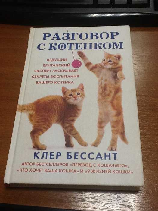 Как воспитывать котенка, кота, кошку в домашних условиях: 22 совета