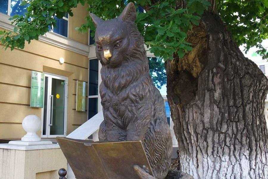 Эрмитажные коты – жизнь в санкт-петербурге