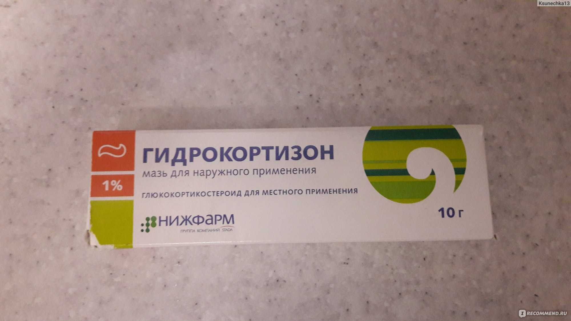 У котят гноятся глаза: что делать с глазами, как лечить, необходимые препараты и рекомендации ветеринаров - sammedic.ru
