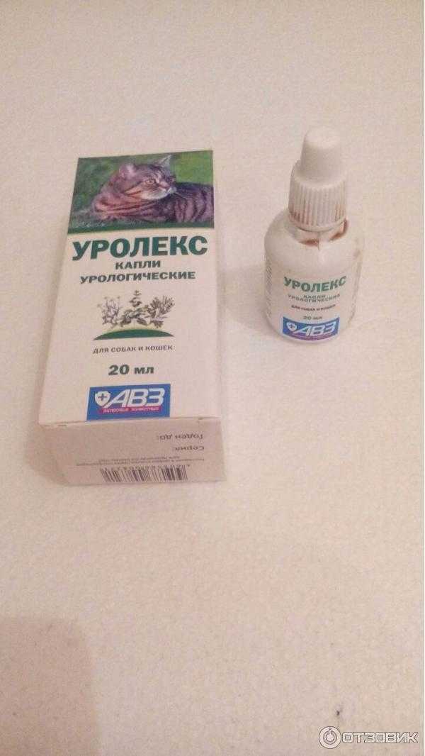 Уролекс для кошек: инструкция по применению, аналоги, отзывы