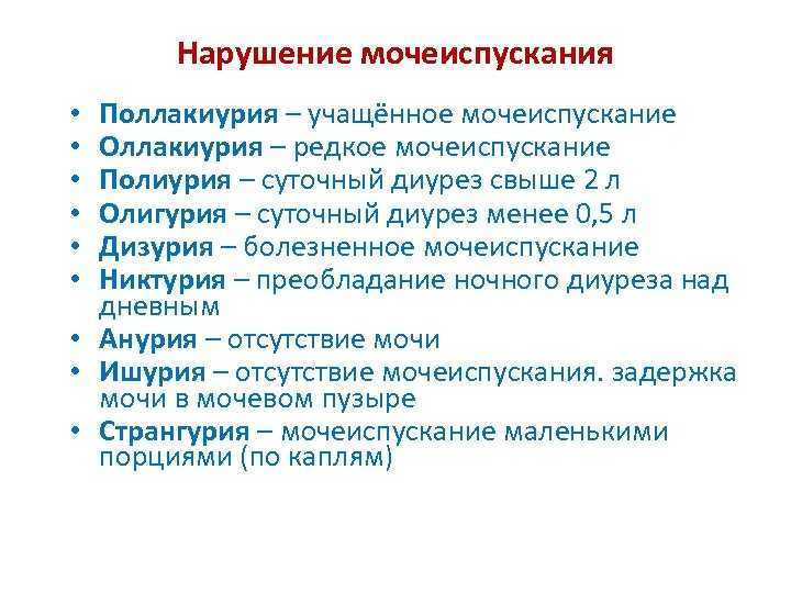 Что делать, если собака не может пописать?