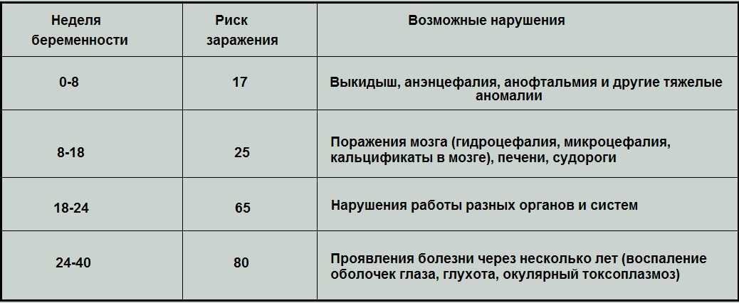 Как проверить кошку на токсоплазмоз