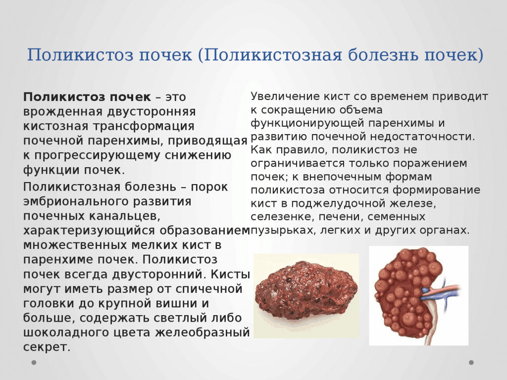 Что делать, обнаружив кисту у кошки или кота, почему это опасно и сколько проживет питомец?