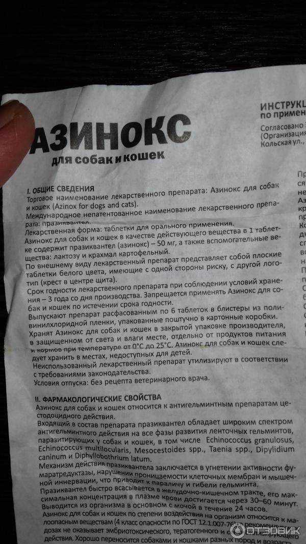Дексафорт для собак: инструкция по применению, особенности использования, ограничения