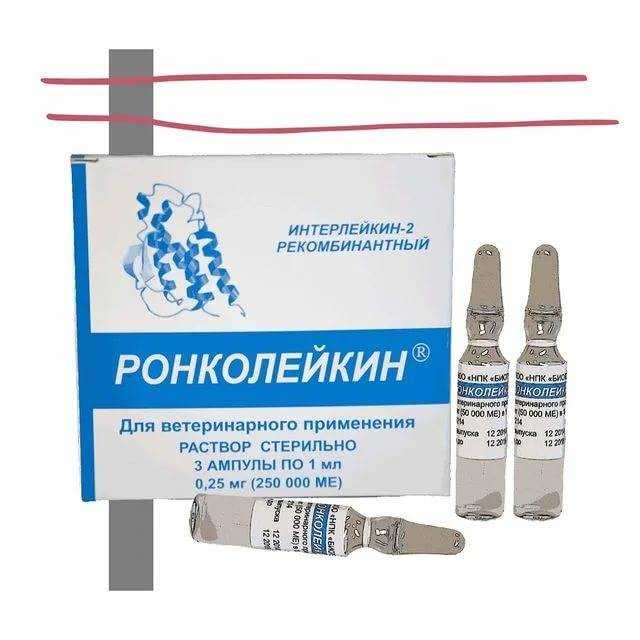 Ронколейкин для кошек: инструкция по применению в ветеринарии, дозировка и схема лечения