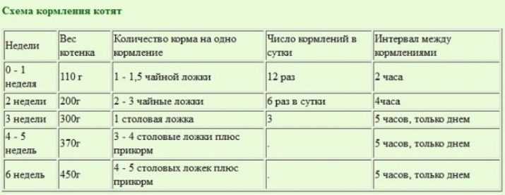 Чем можно кормить маленьких котят