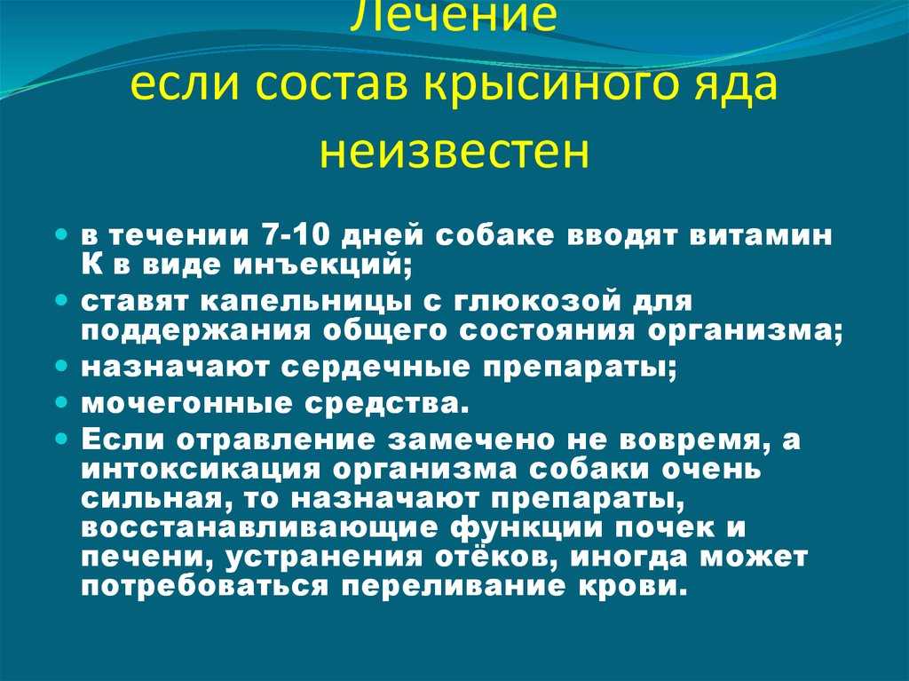 Отравление крысиным ядом у кошки: симптомы, первая помощь