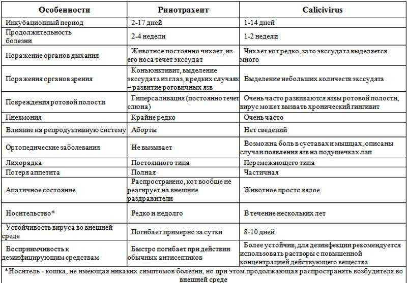 Заболевания нервной системы у кошек: признаки и лечениеветлечебница рос-вет