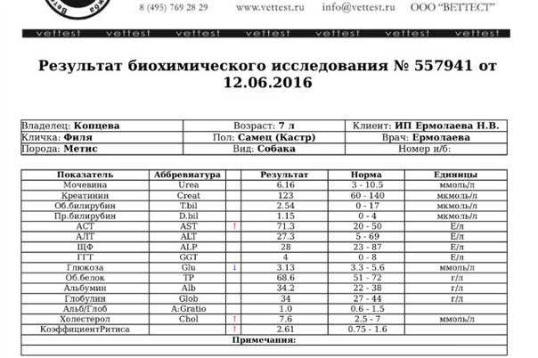 Расшифровка 12 показателей анализа крови у кошки: щелочная фосфатаза, панкреатическая амилаза, коэффициент ритиса