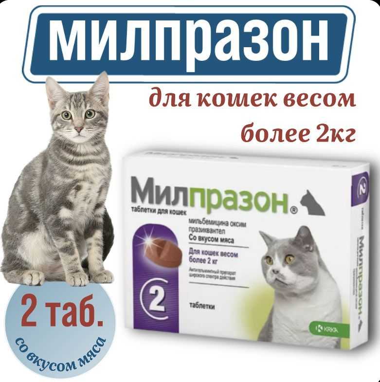 Здоровье: глистогонное ( антигельминтное ) средство  для собак.
